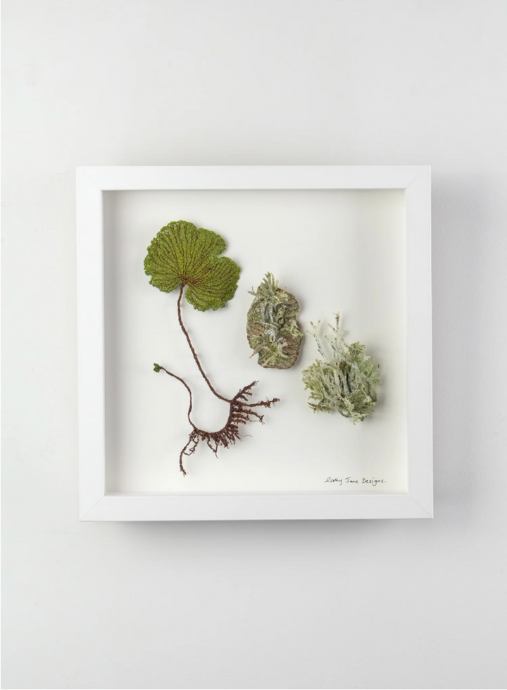 NZ Kidney Fern and Lichens 3D Thread Sculpture.