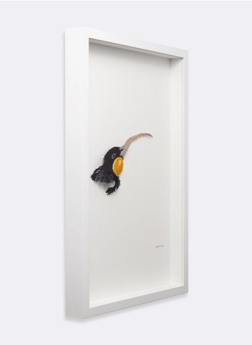 Huia (female) 3D Thread Sculpture.