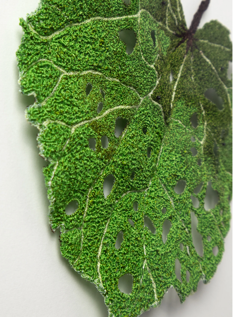 Kawakawa Leaf 3D Thread Sculpture #5.