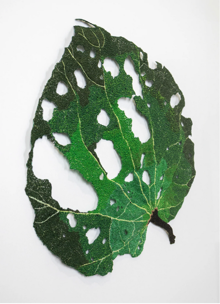 Giant Kawakawa Leaf 3D Thread Sculpture #3.