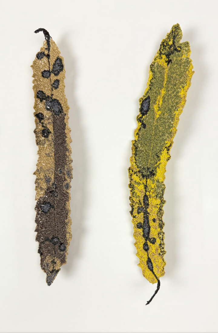 Rewarewa leaves. 3D Thread Sculpture.