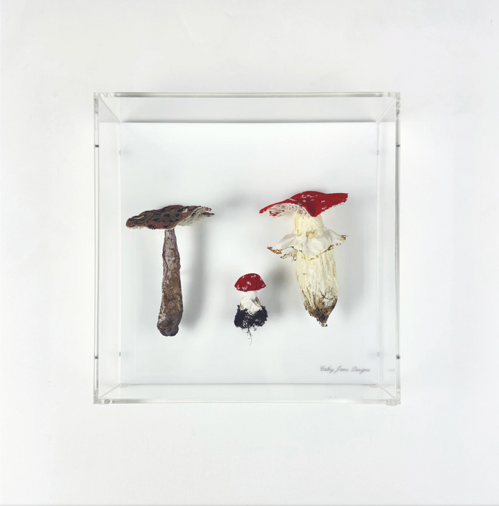 Amanita fungi of New Zealand 3D Thread Sculpture.