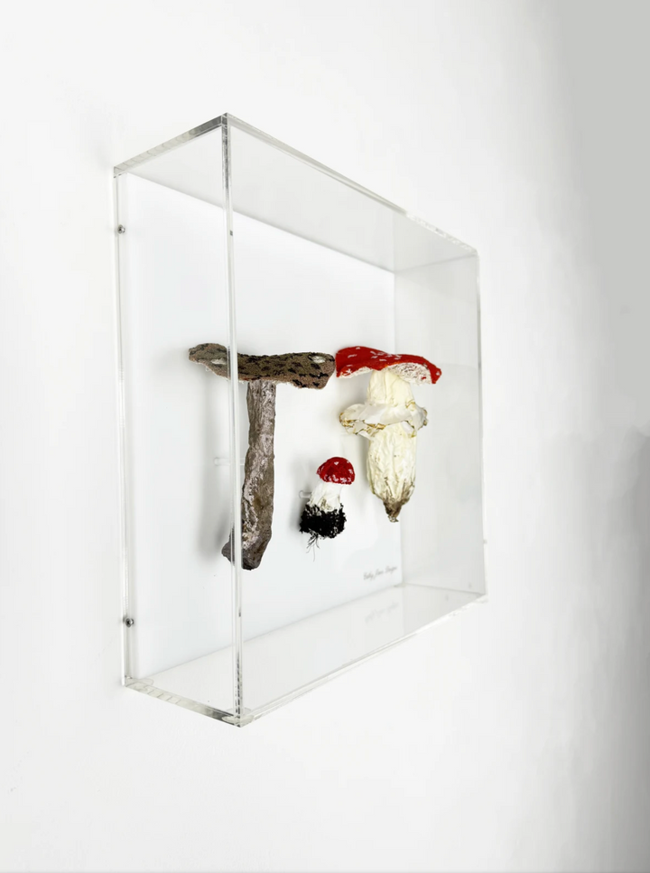 Amanita fungi of New Zealand 3D Thread Sculpture.