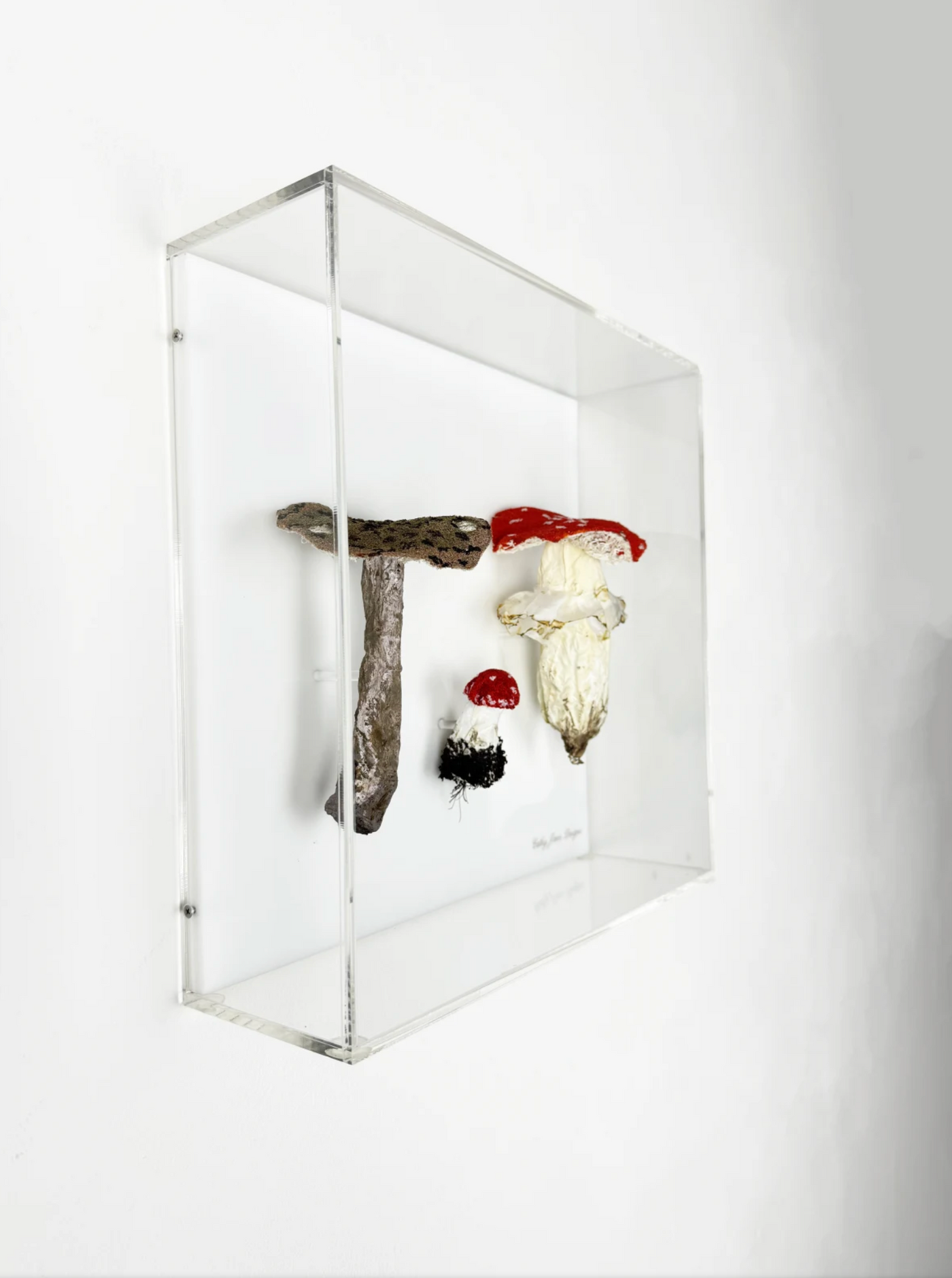 Amanita fungi of New Zealand 3D Thread Sculpture.
