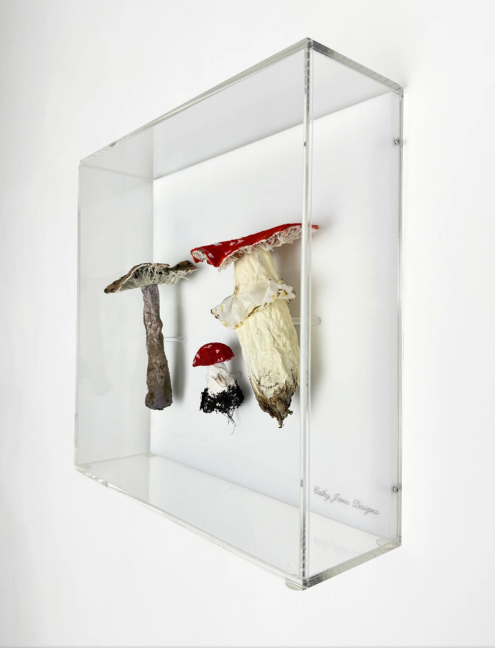 Amanita fungi of New Zealand 3D Thread Sculpture.