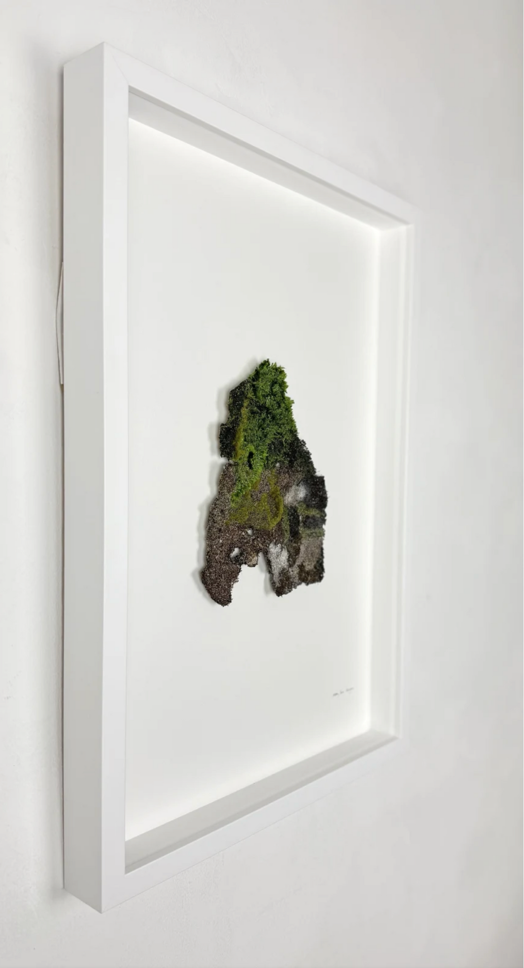 Karaka bark 3D Thread Sculpture.