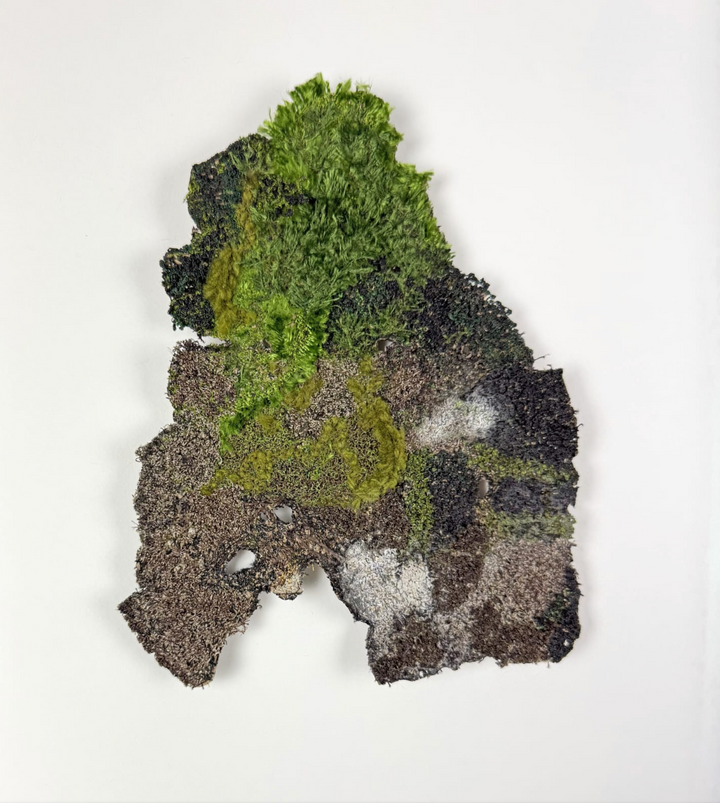 Karaka bark 3D Thread Sculpture.