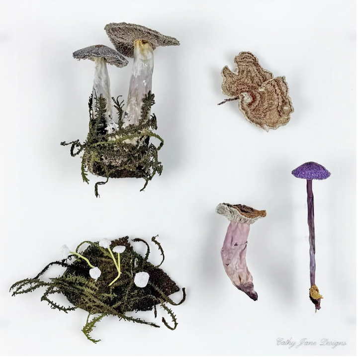 Fungi of New Zealand 3D Thread Sculpture #8.