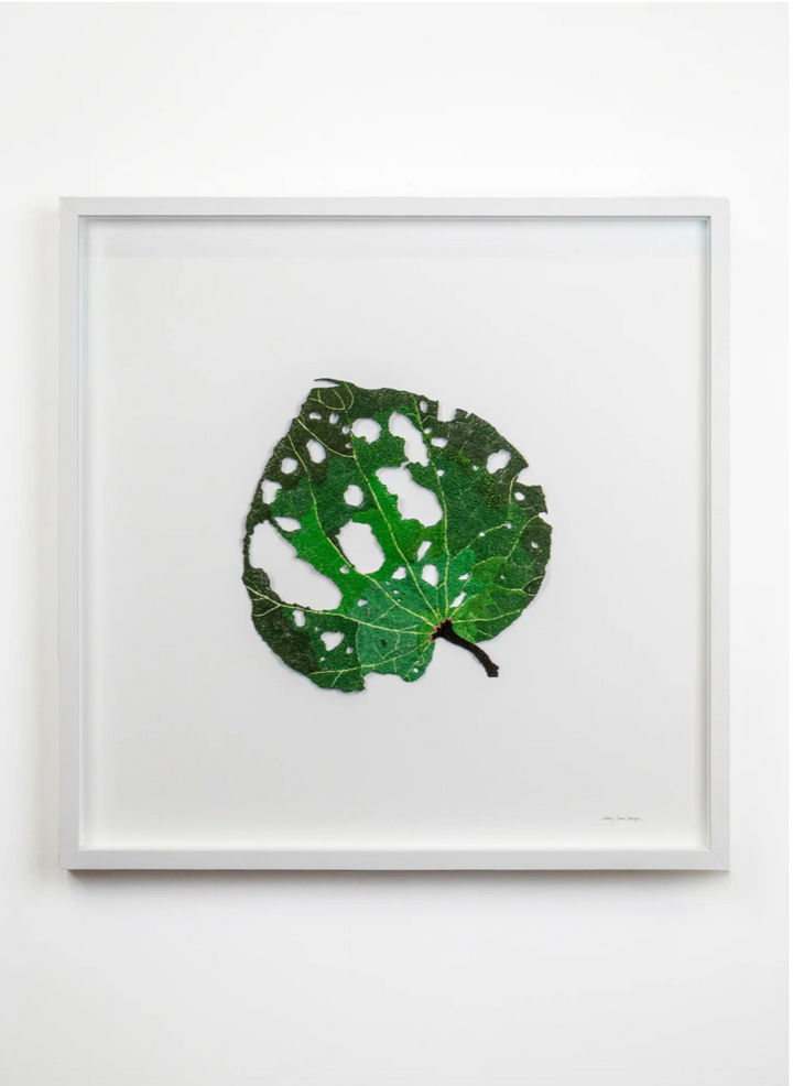 Giant Kawakawa Leaf 3D Thread Sculpture #3.