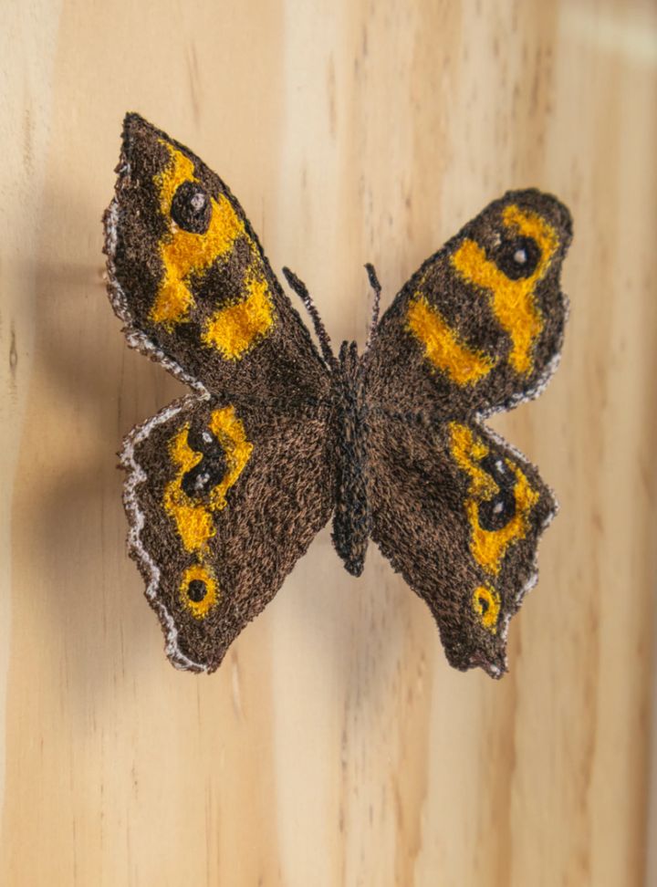 Forest Ringlet Butterfly 3D Thread Sculpture.