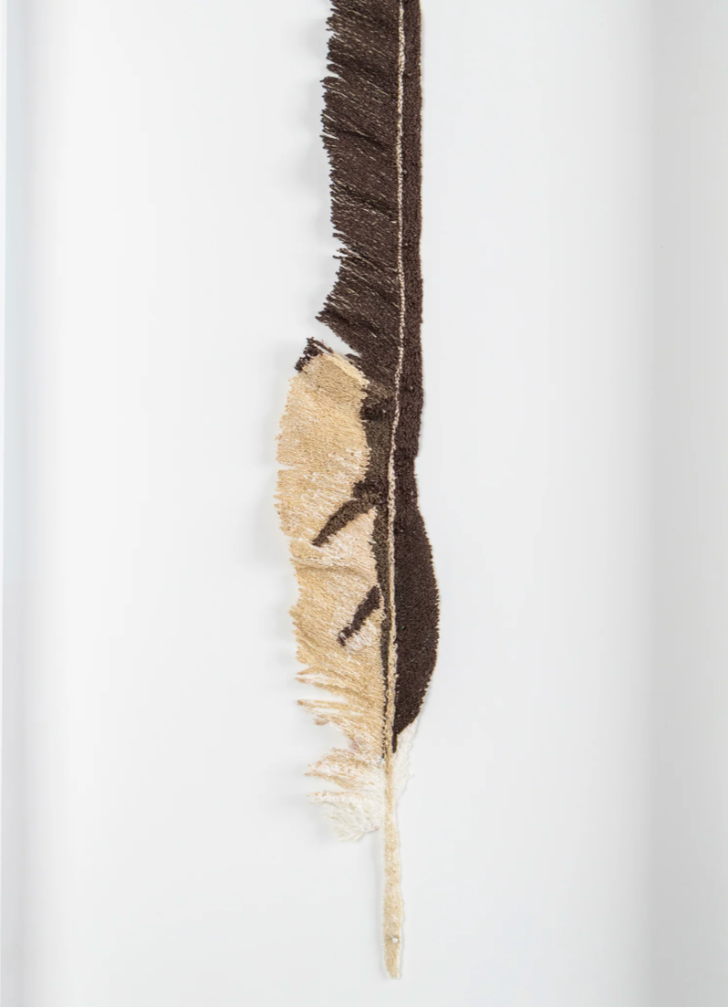 Harrier Hawk feather 3D Thread Sculpture.