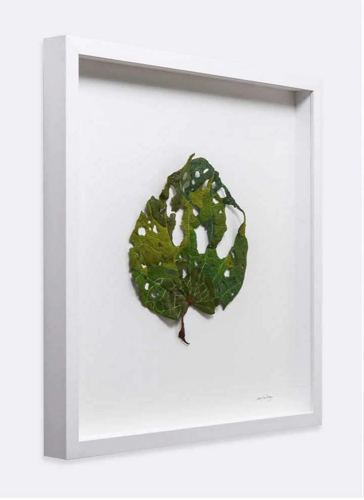 Giant Kawakawa Leaf 3D Thread Sculpture #9.