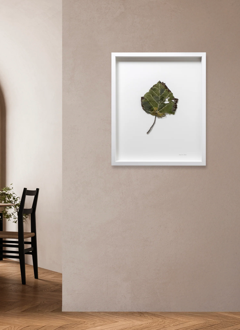 Whau Leaf of NZ thread sculpture. (Award winning piece).