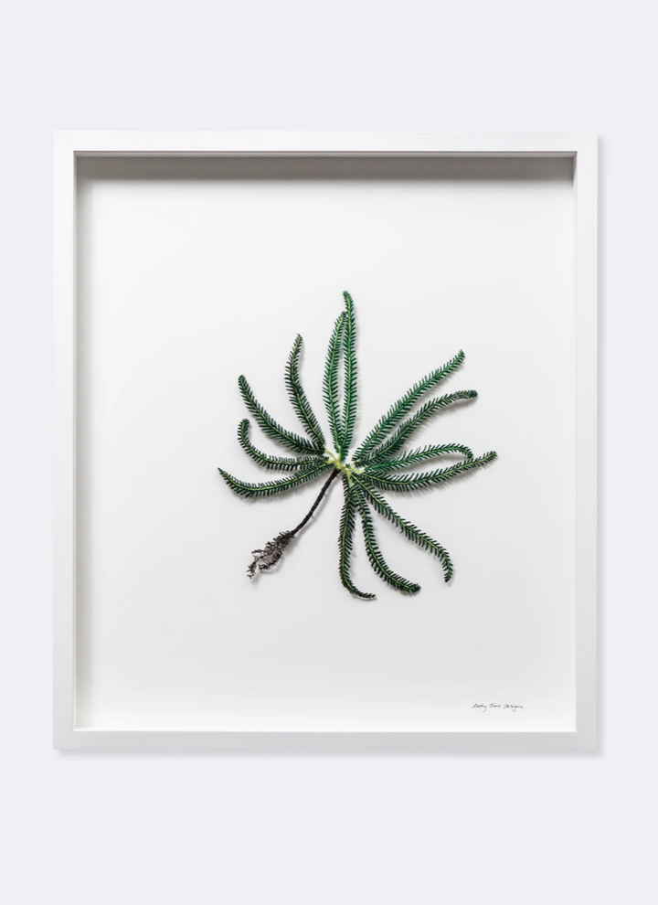 Umbrella Fern 3D Thread Sculpture.