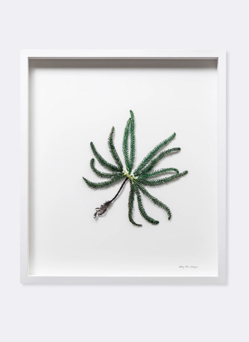 Umbrella Fern 3D Thread Sculpture.