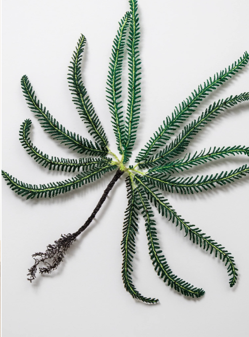 Umbrella Fern 3D Thread Sculpture.