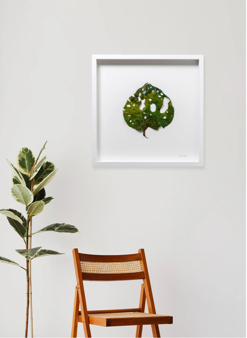 Giant Kawakawa Leaf 3D Thread Sculpture #9.