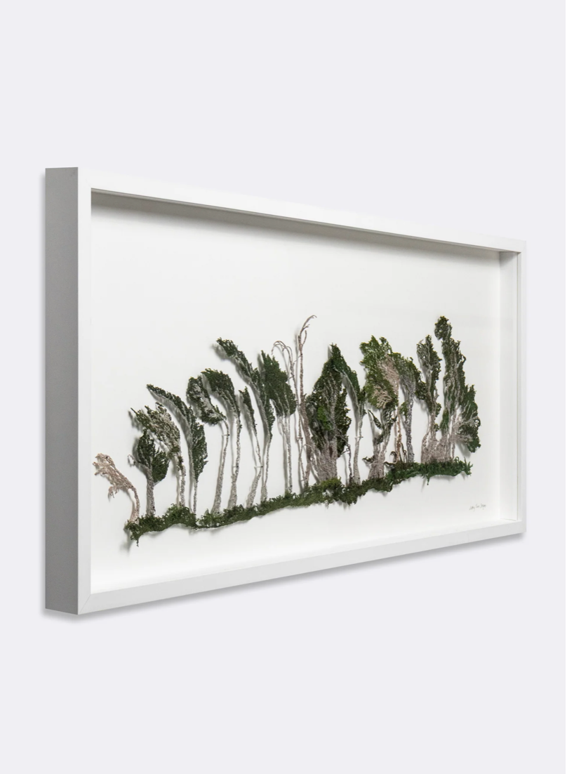 Windblown - Slope Point 3D Thread Sculpture. #2