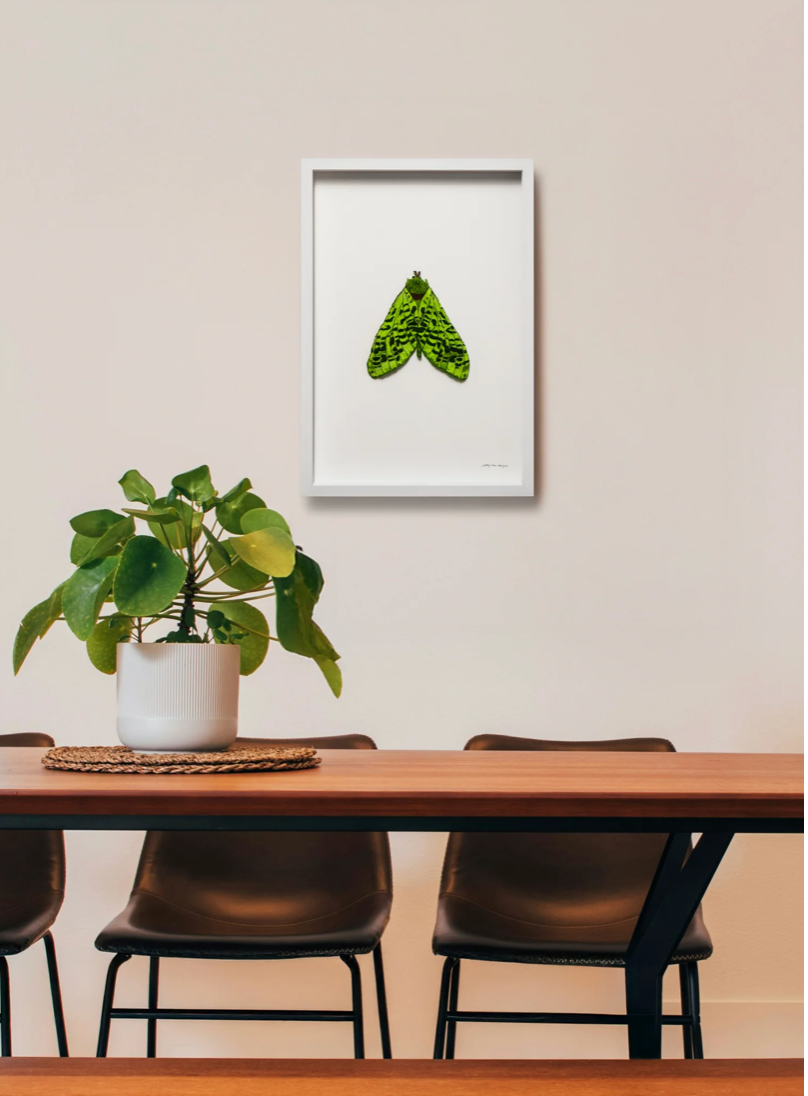 Puriri Moth 3D Thread Sculpture #3.