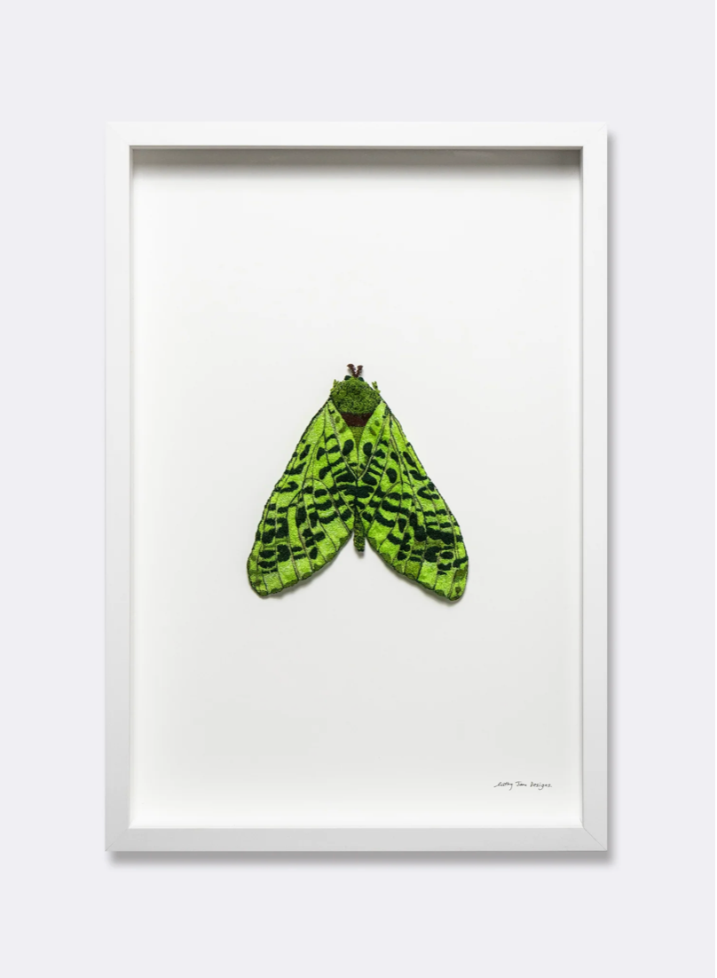 Puriri Moth 3D Thread Sculpture #3.