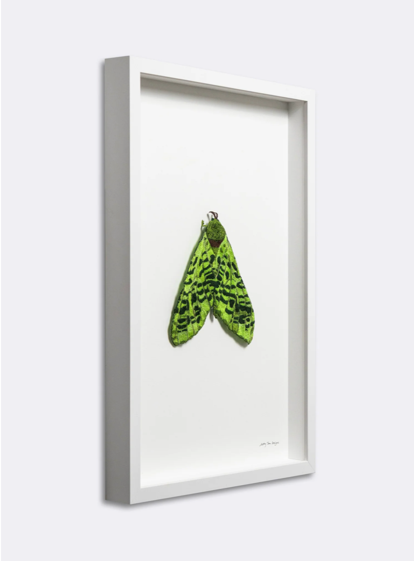 Puriri Moth 3D Thread Sculpture #3.