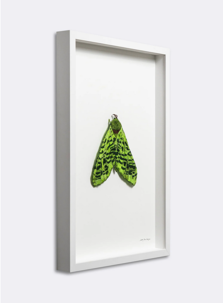 Puriri Moth 3D Thread Sculpture #3.