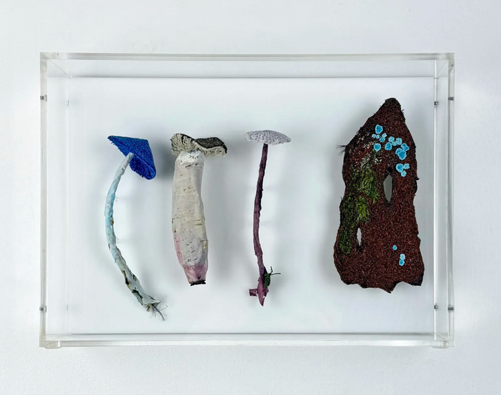 Fungi of New Zealand 3D Thread Sculpture #13.