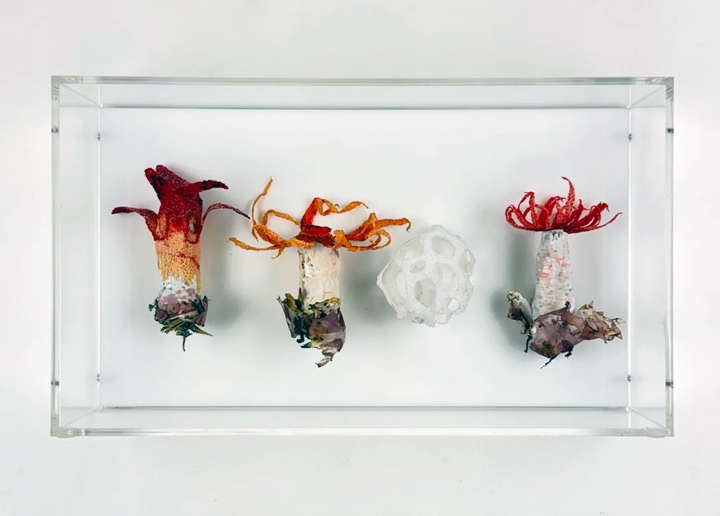 Stinkhorn fungi of New Zealand 3D Thread Sculpture.