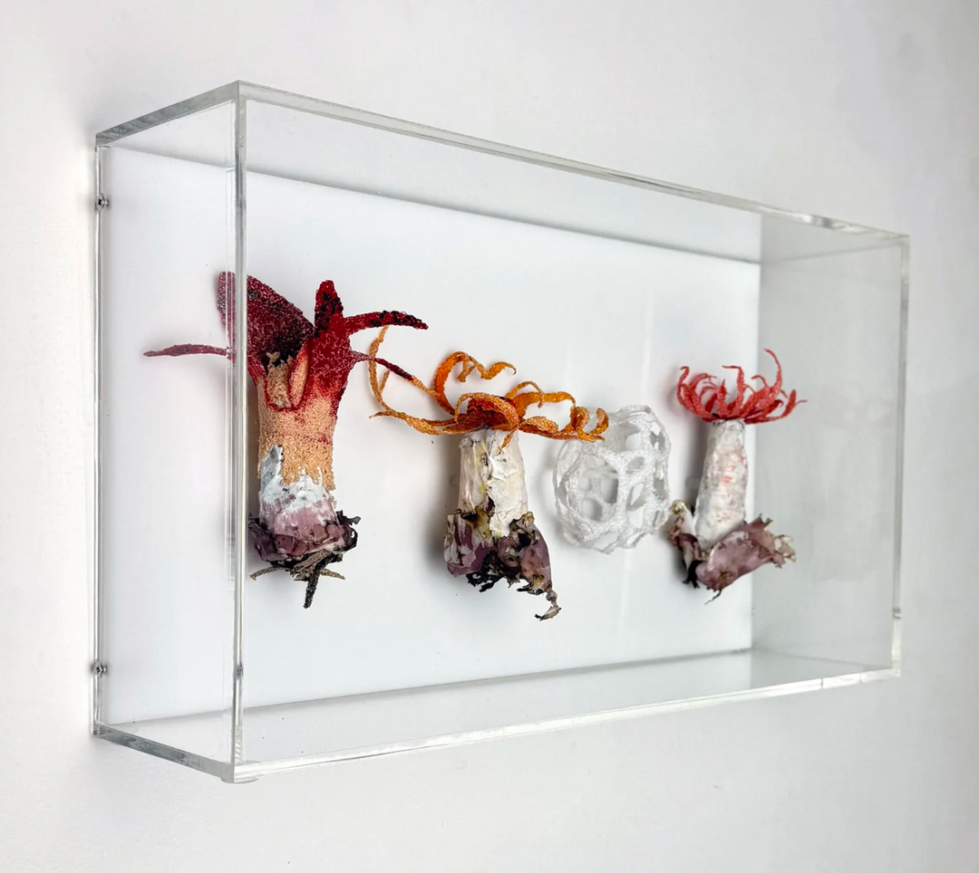 Stinkhorn fungi of New Zealand 3D Thread Sculpture.
