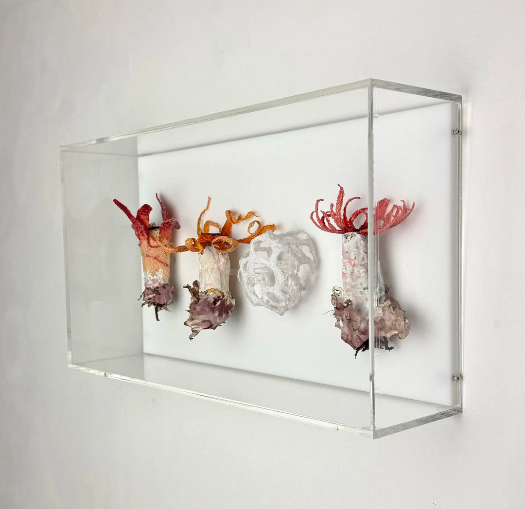 Stinkhorn fungi of New Zealand 3D Thread Sculpture.