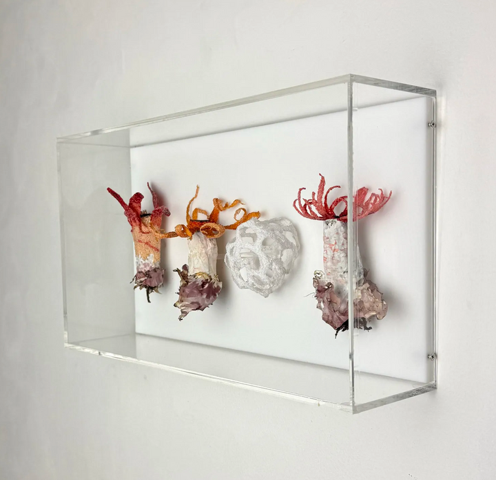 Stinkhorn fungi of New Zealand 3D Thread Sculpture.