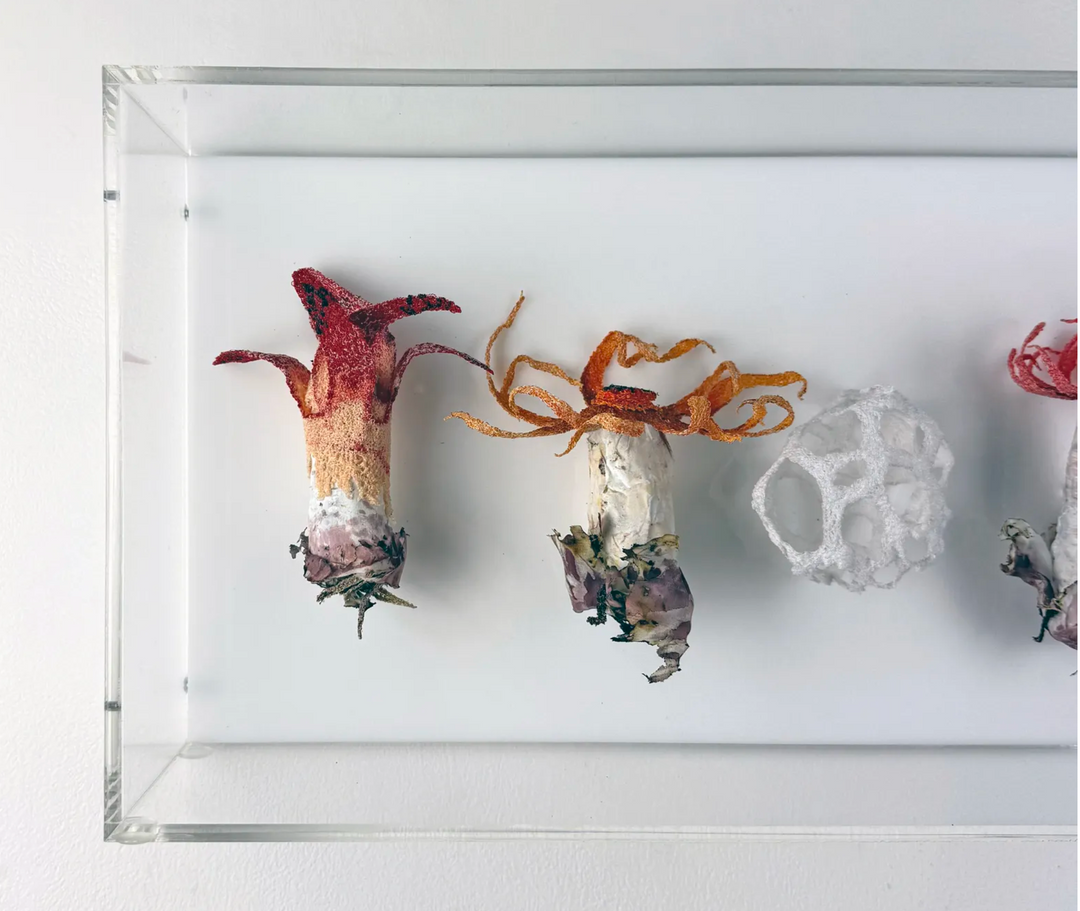Stinkhorn fungi of New Zealand 3D Thread Sculpture.