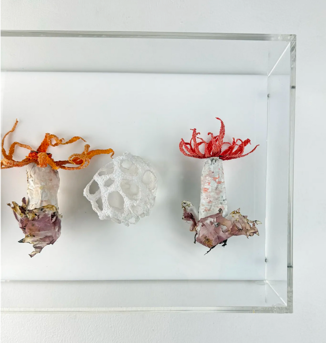 Stinkhorn fungi of New Zealand 3D Thread Sculpture.