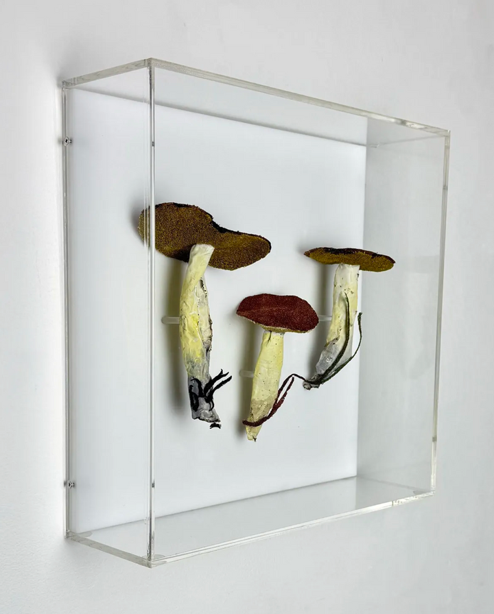 Dotted-stalked Suillus fungi 3D Thread Sculpture. #2