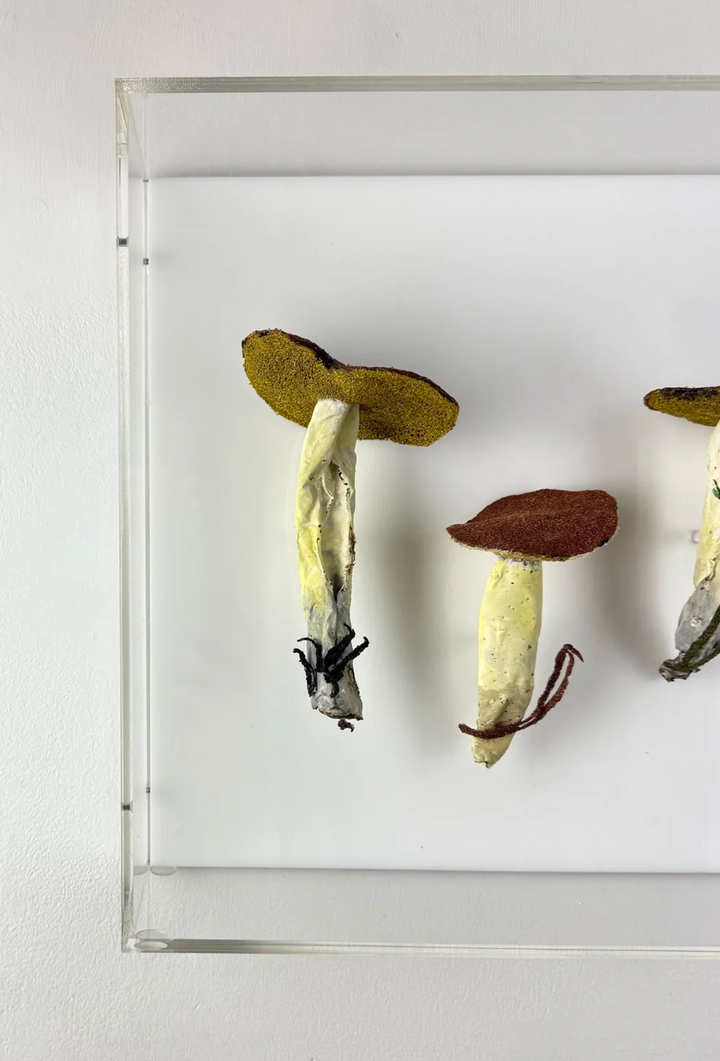 Dotted-stalked Suillus fungi 3D Thread Sculpture. #2