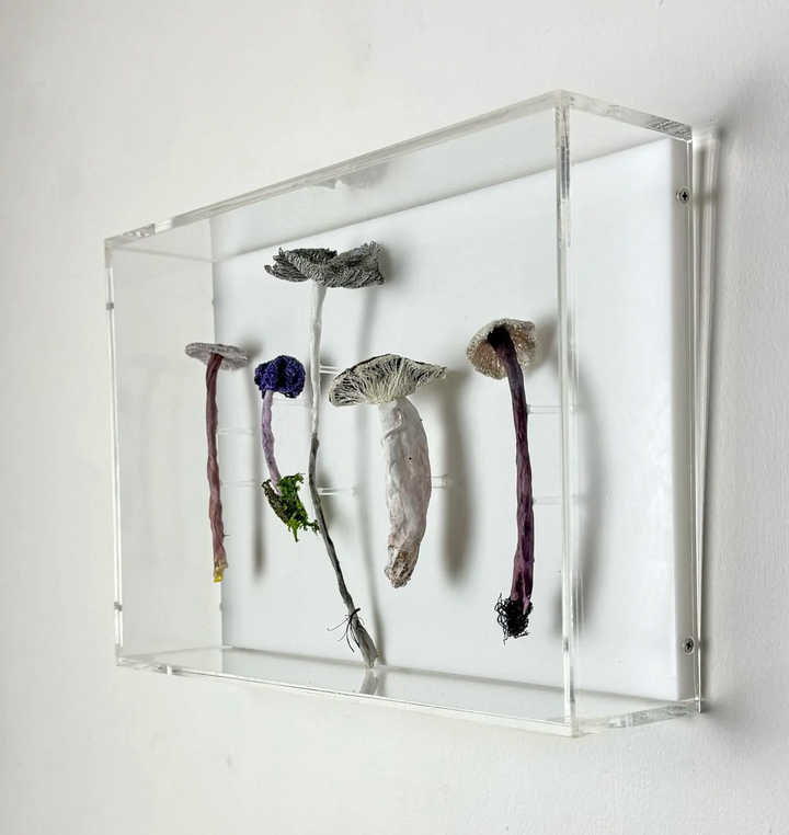Fungi of New Zealand 3D Thread Sculpture #7.
