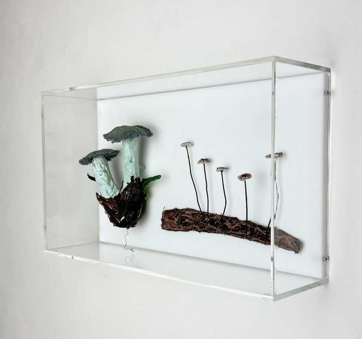 Fungi of New Zealand 3D Thread Sculpture #15.