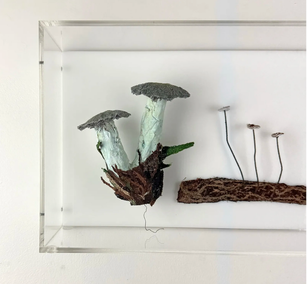 Fungi of New Zealand 3D Thread Sculpture #15.
