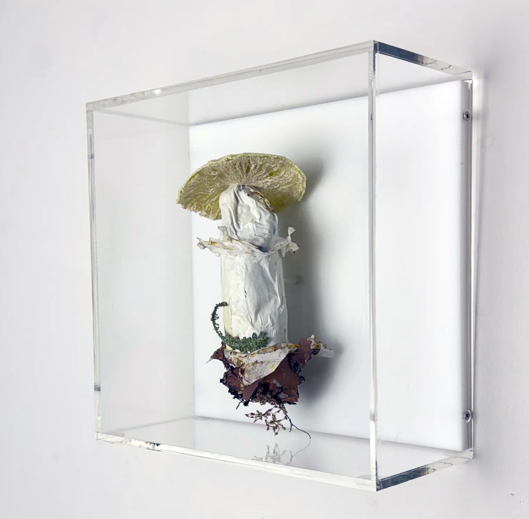 Deathcap Fungi 3D Thread Sculpture #6.