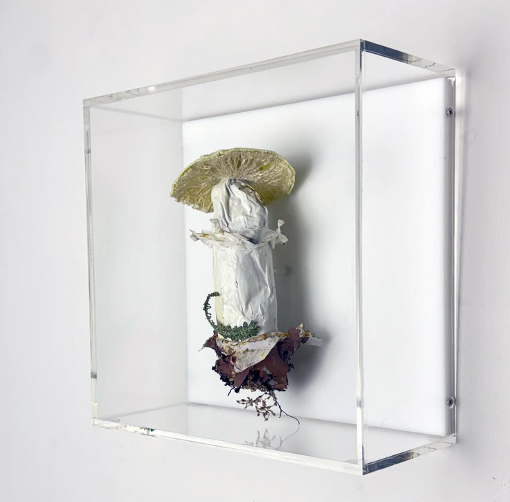 Deathcap Fungi 3D Thread Sculpture #6.