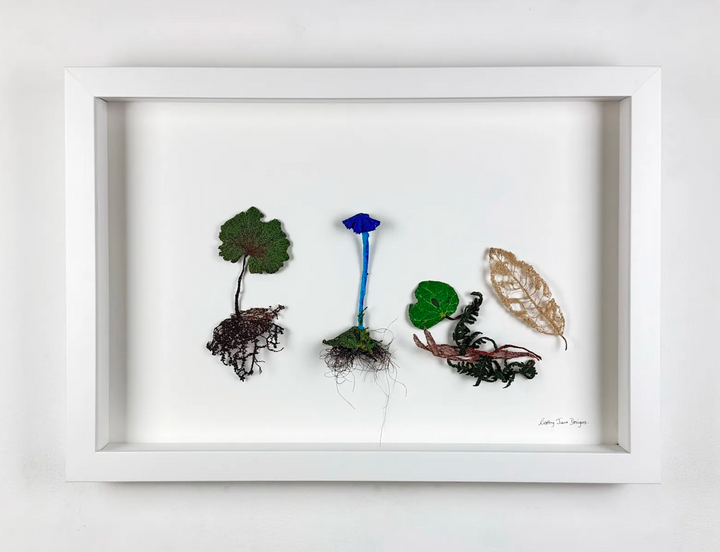 Forest Floor species 3D Thread Sculpture.
