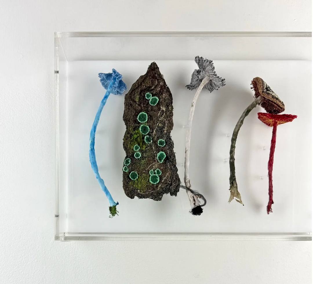 Fungi of New Zealand 3D Thread Sculpture #9.