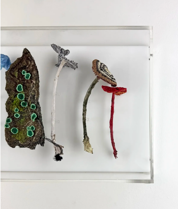 Fungi of New Zealand 3D Thread Sculpture #9.
