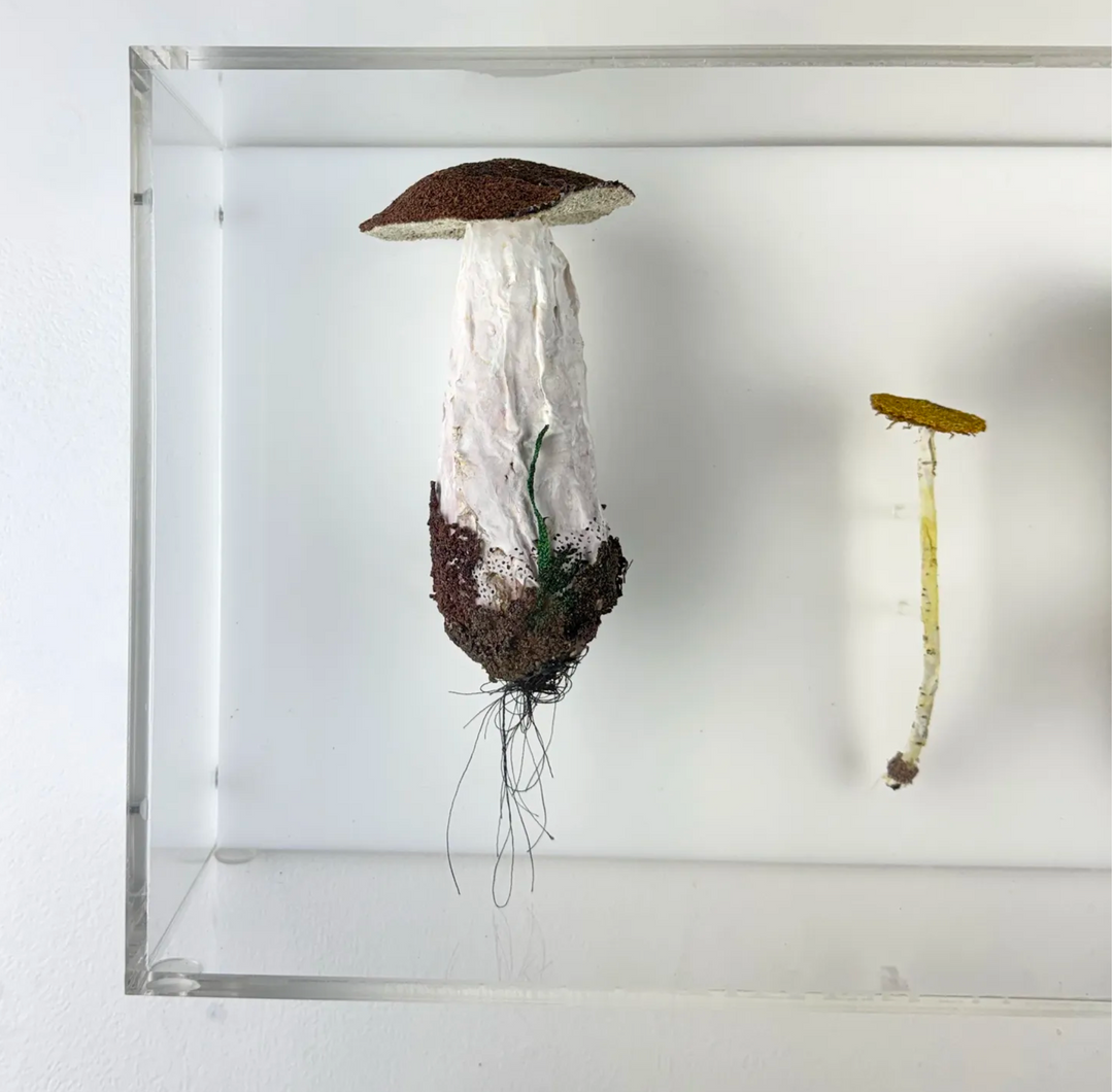 Fungi of New Zealand 3D Thread Sculpture #10.