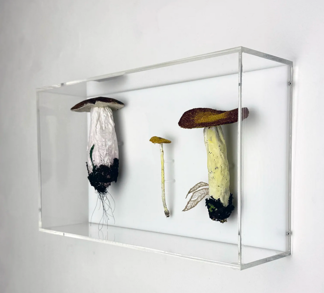 Fungi of New Zealand 3D Thread Sculpture #10.