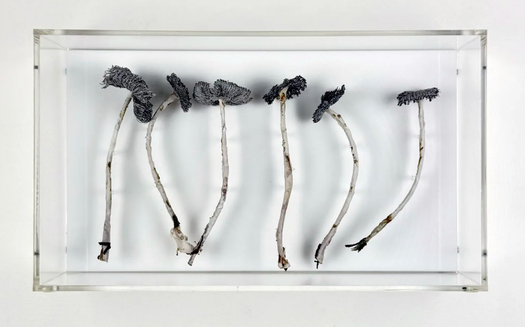 Inkcap Fungi 3D Thread Sculpture #3.