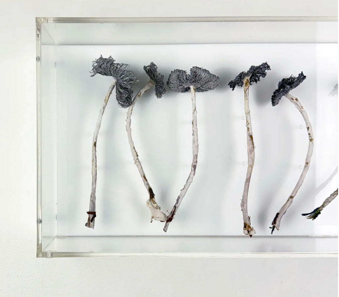 Inkcap Fungi 3D Thread Sculpture #3.