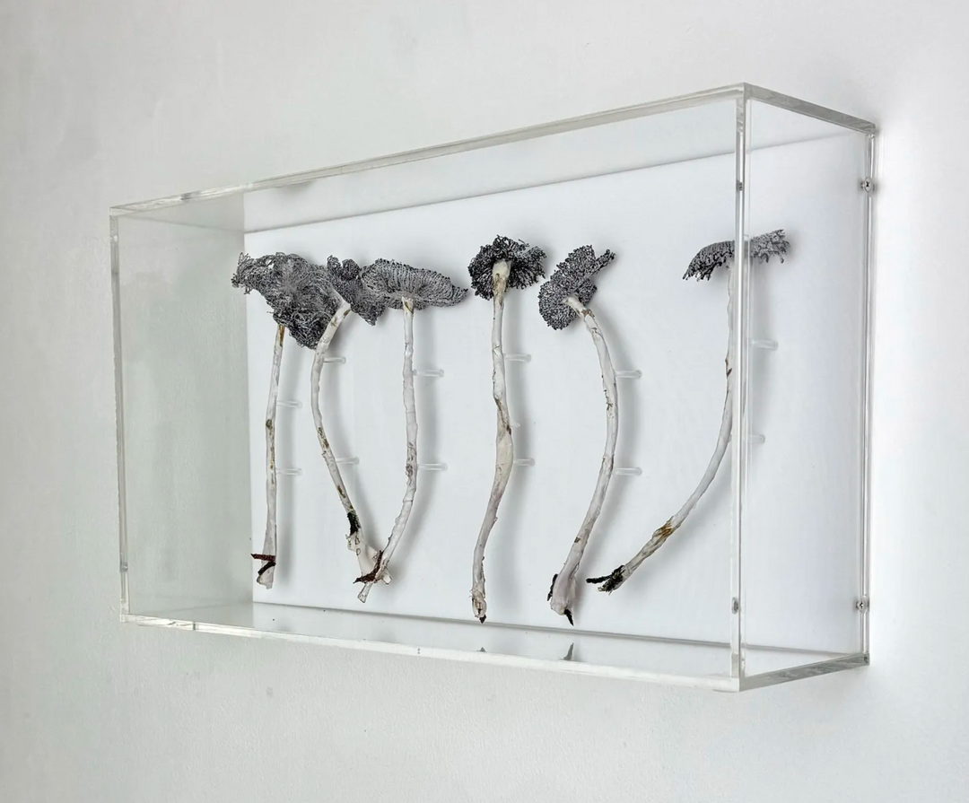 Inkcap Fungi 3D Thread Sculpture #3.