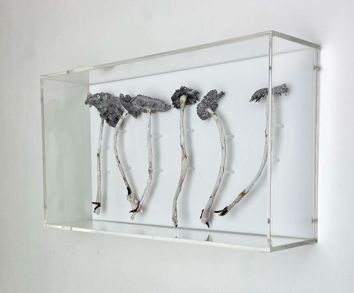 Inkcap Fungi 3D Thread Sculpture #3.