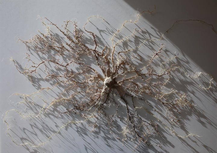 Intertwined Roots. 3D Thread Sculpture. (Finalist for Golden art award).